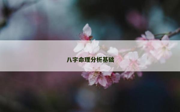 八字命理分析基础