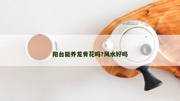 阳台能养龙骨花吗?风水好吗