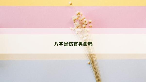 八字是伤官男命吗