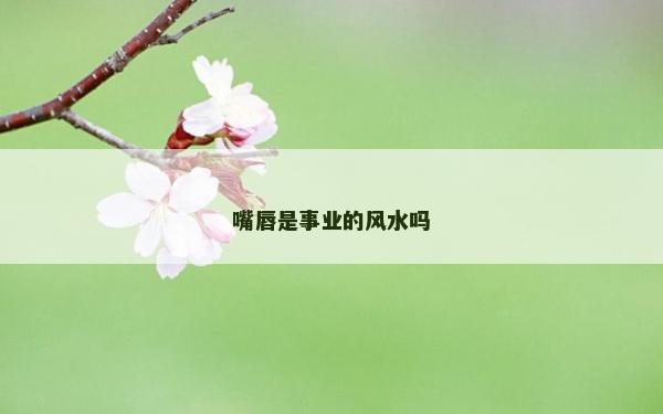 嘴唇是事业的风水吗