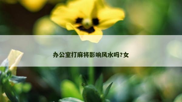 办公室打麻将影响风水吗?女