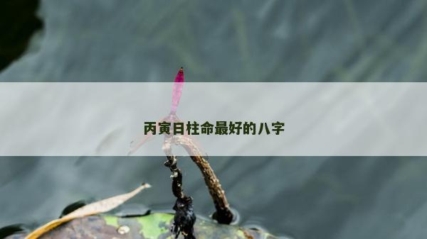 丙寅日柱命最好的八字