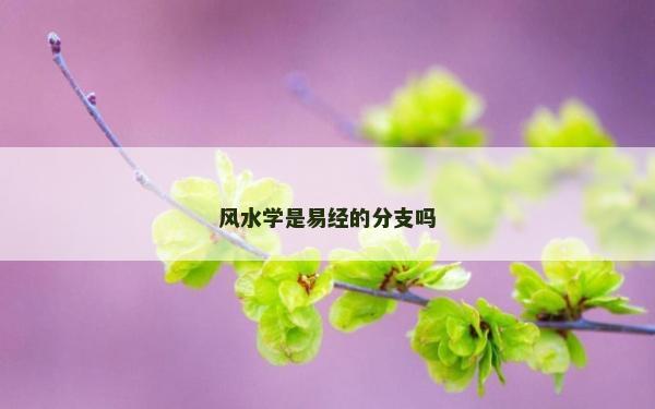 风水学是易经的分支吗