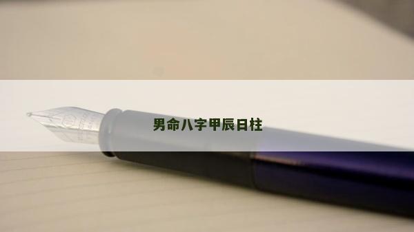 男命八字甲辰日柱