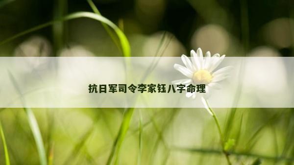 抗日军司令李家钰八字命理