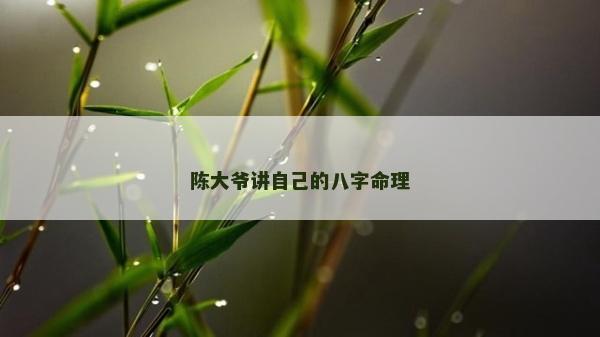 陈大爷讲自己的八字命理