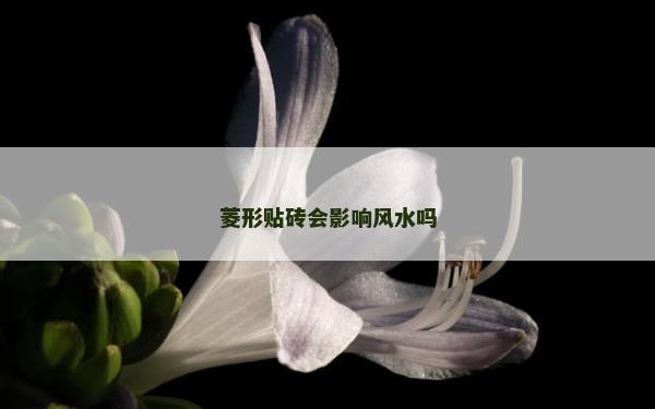 菱形贴砖会影响风水吗