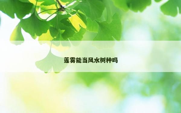 莲雾能当风水树种吗