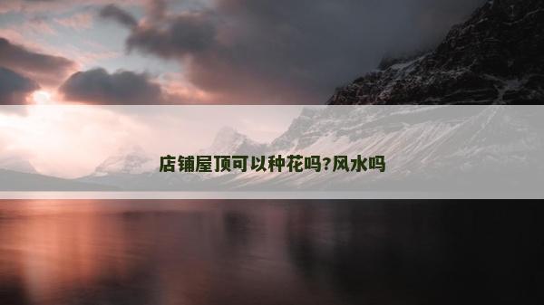 店铺屋顶可以种花吗?风水吗