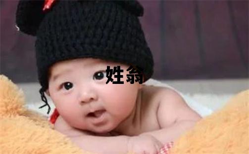 姓翁叫什么名字好 姓翁的男孩独特优美的名字