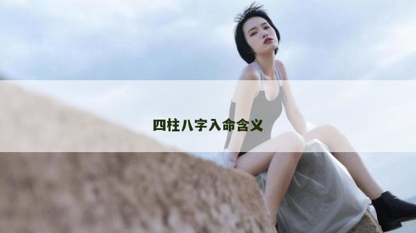 四柱八字入命含义