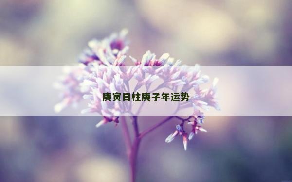 庚寅日柱庚子年运势