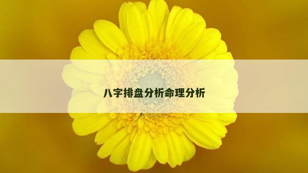 八字排盘分析命理分析
