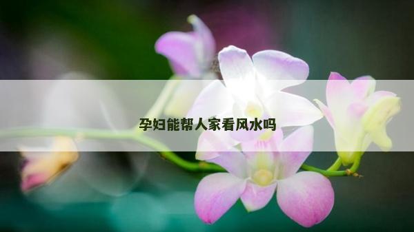 孕妇能帮人家看风水吗
