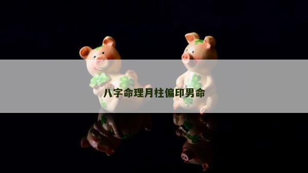 八字命理月柱偏印男命