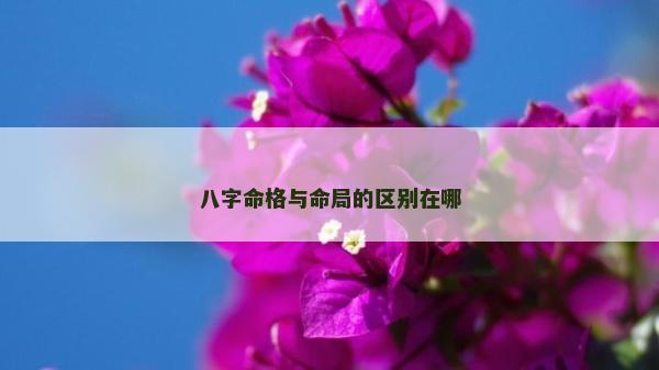 八字命格与命局的区别在哪