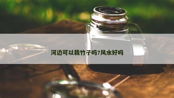 河边可以栽竹子吗?风水好吗