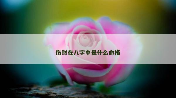 伤财在八字中是什么命格