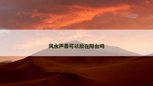 风水芦荟可以放在阳台吗