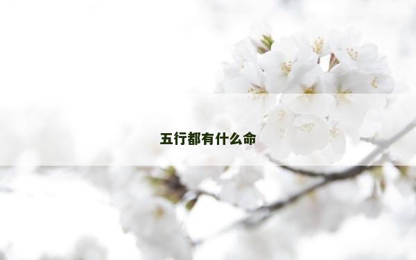 五行都有什么命