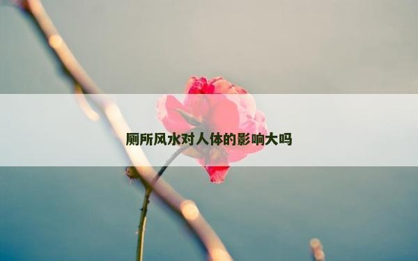 厕所风水对人体的影响大吗