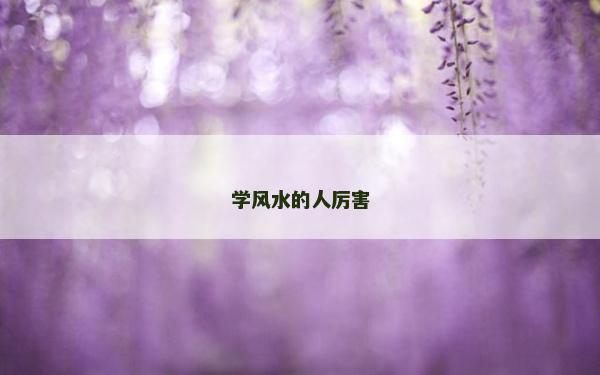 学风水的人厉害