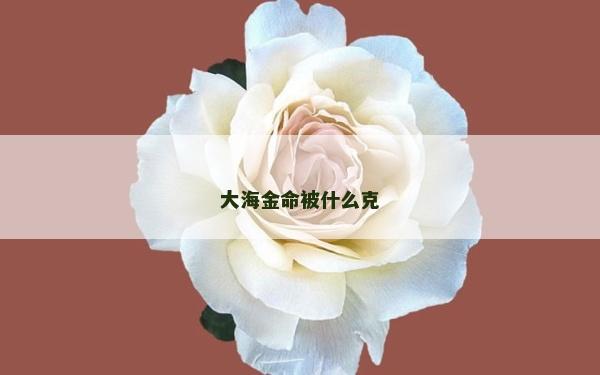 大海金命被什么克