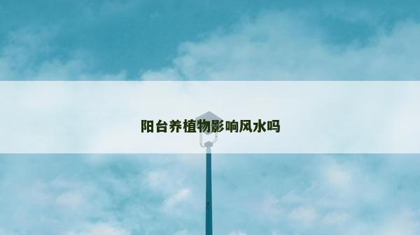 阳台养植物影响风水吗