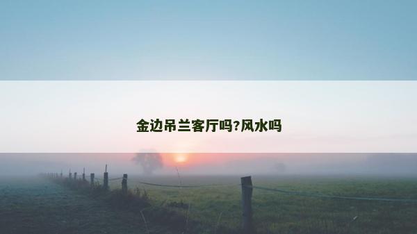 金边吊兰客厅吗?风水吗