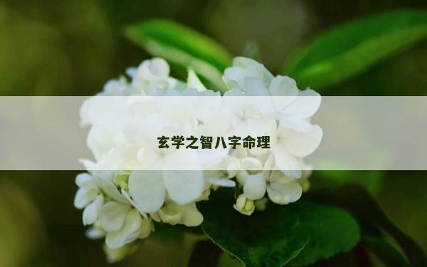 玄学之智八字命理