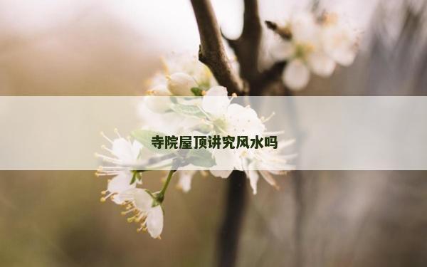 寺院屋顶讲究风水吗