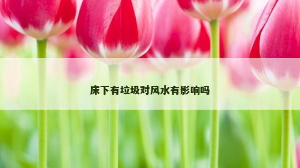 床下有垃圾对风水有影响吗