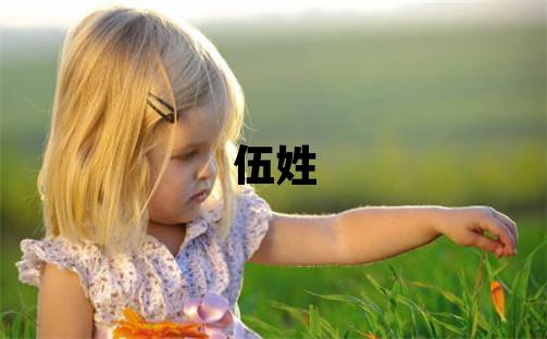 伍姓大气文雅的男孩名字,取什么名字好