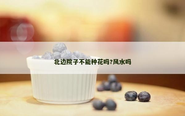 北边院子不能种花吗?风水吗