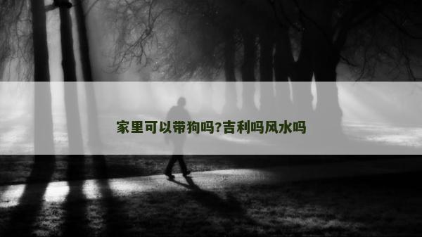 家里可以带狗吗?吉利吗风水吗