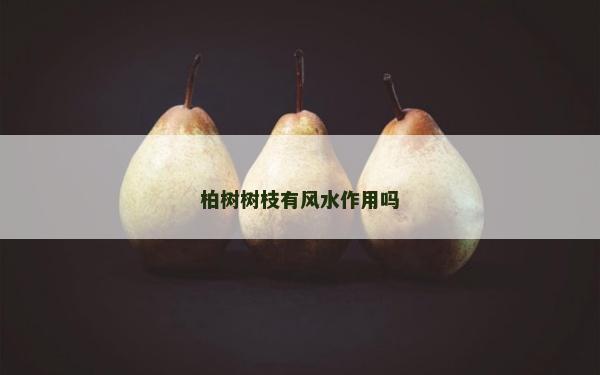 柏树树枝有风水作用吗
