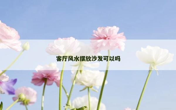 客厅风水摆放沙发可以吗