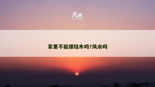 家里不能摆枯木吗?风水吗