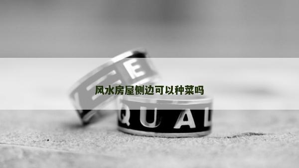 风水房屋侧边可以种菜吗