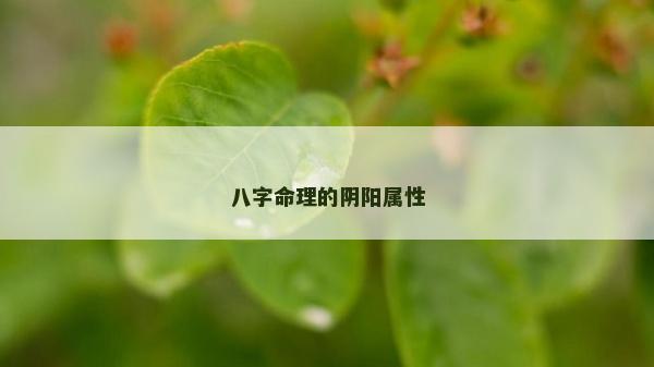 八字命理的阴阳属性