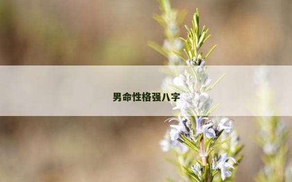 男命性格强八字
