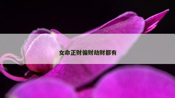 女命正财偏财劫财都有