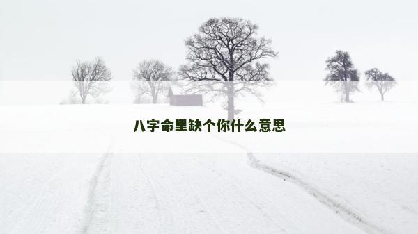 八字命里缺个你什么意思