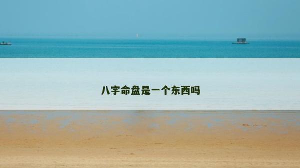 八字命盘是一个东西吗
