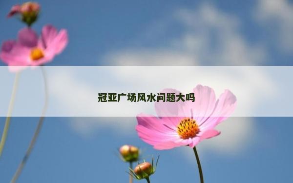 冠亚广场风水问题大吗