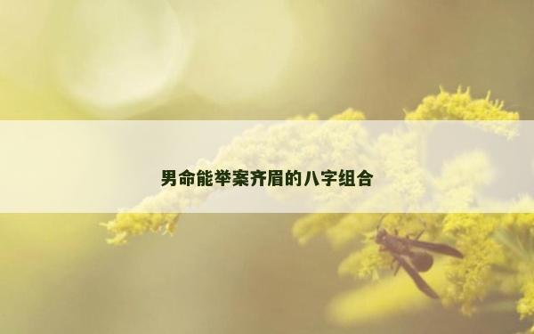 男命能举案齐眉的八字组合