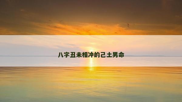 八字丑未相冲的己土男命