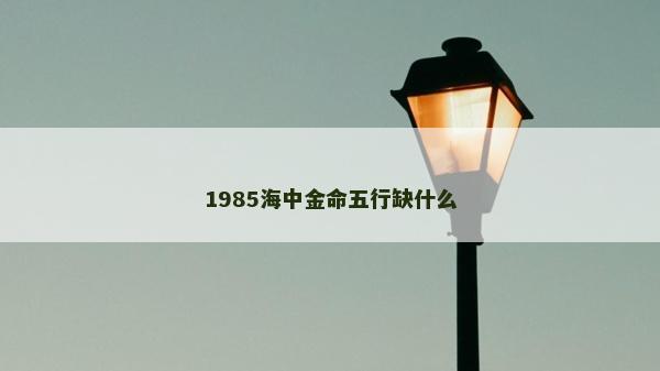 1985海中金命五行缺什么