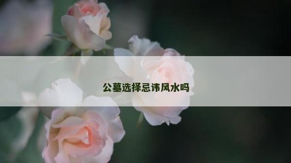 公墓选择忌讳风水吗