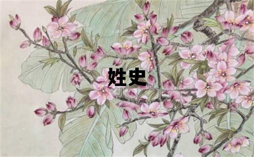 姓史叫什么名字好 姓史的男孩有气质的名字